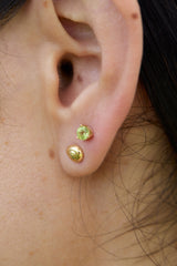 Oceana Shell Studs