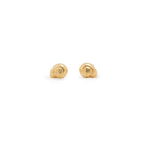 Oceana Shell Studs