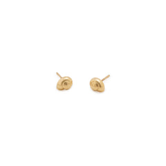 Oceana Shell Studs